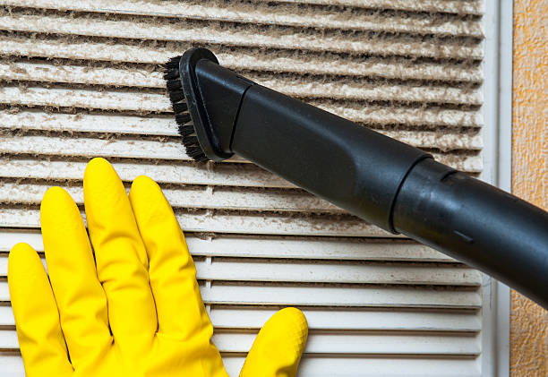 Best Local Air Duct Cleaning Services  in White Knoll, SC